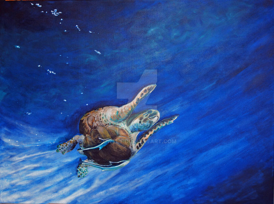turtle by uwelt on DeviantArt