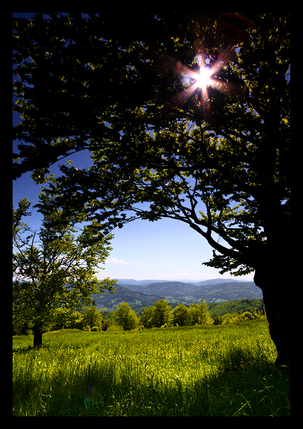 Silesian Beskids