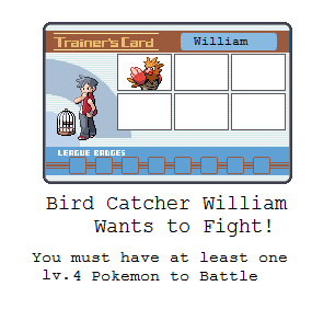 Bird Catcher William Battle