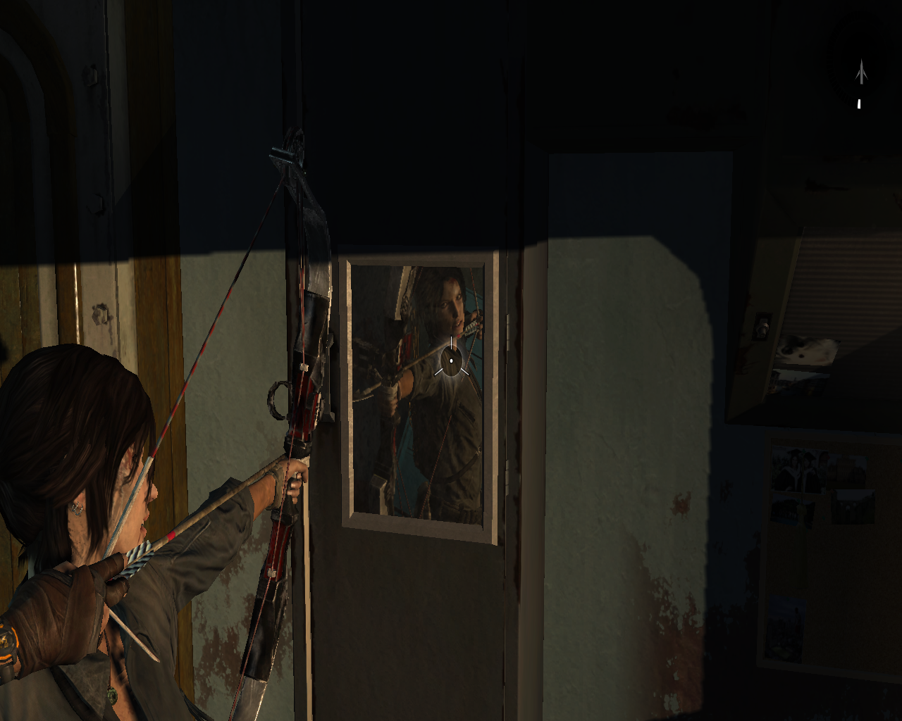 Tomb Raider 2013 (Screenshot)-Lara #6 Mirror