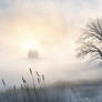 Silent Dawn