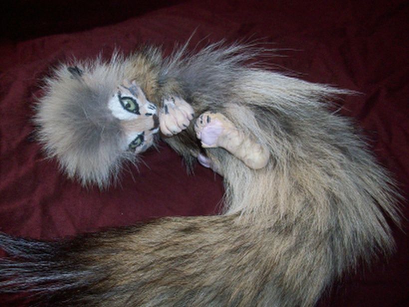 Baby Wild Cat Flop Doll By Blackiceheart On Deviantart Baby Wild Cat Flop Doll By Blackiceheart On Deviantart