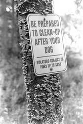 Clean Up After Your Dog