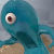 Shocked BOB