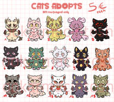 EMERGENCY CAT ADOPTS (13/15)