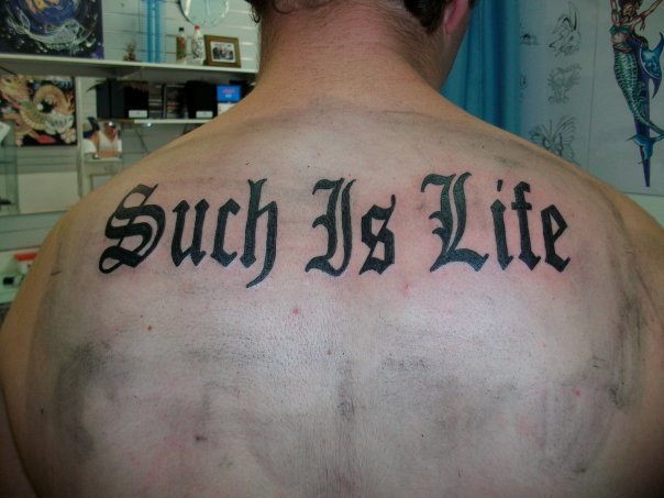 Such Is Life 1 By Tw33kr On Deviantart Such Is Life 1 By Tw33kr On Deviantart