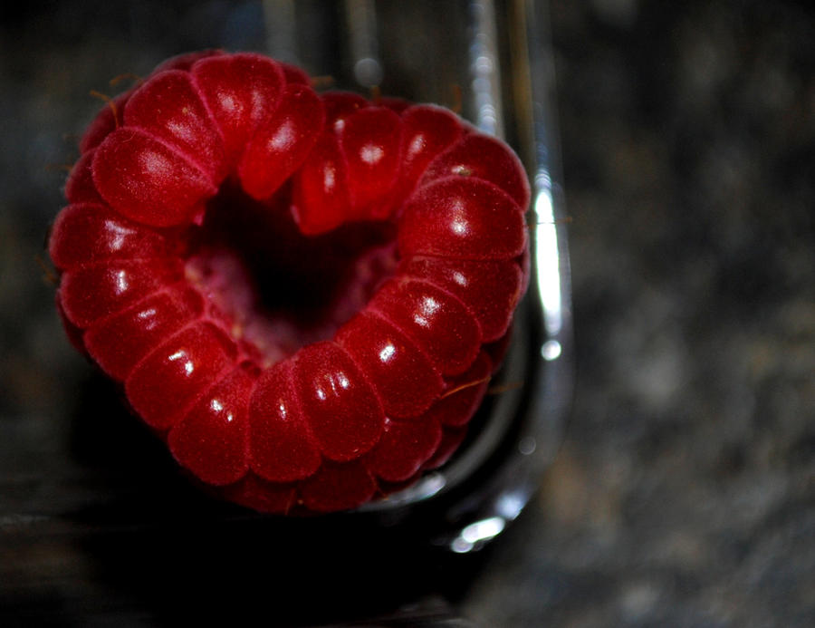 Maltrait Raspberry The Raspberry by TheRotheriiSic on DeviantArt
