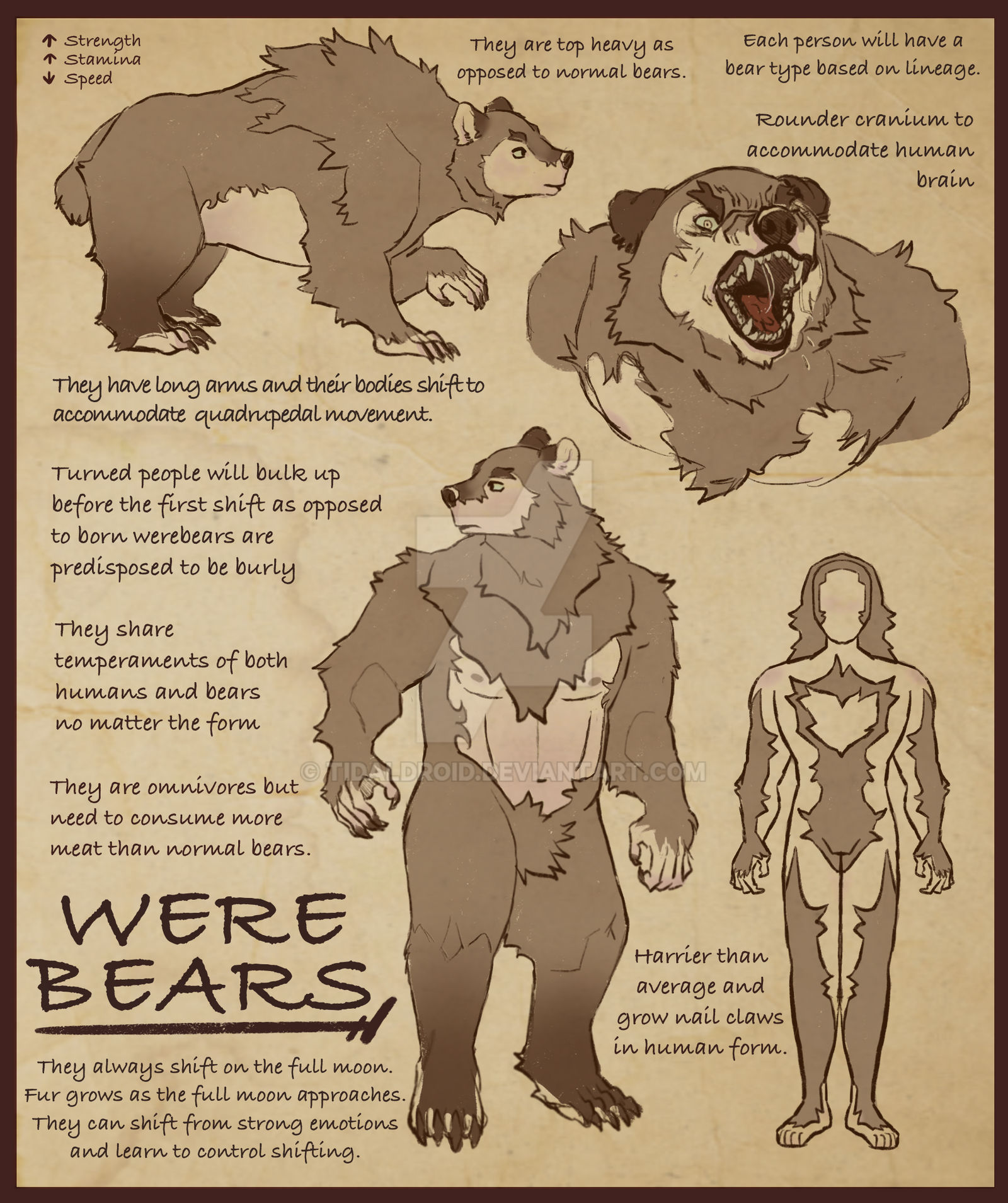 Werebear Size Example WereBears by TidalDroid on DeviantArt