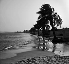 Beach View