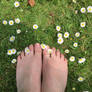 Daisy toes 