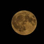 Hunters Moon