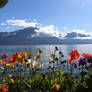 Flowers Below the Mountain 