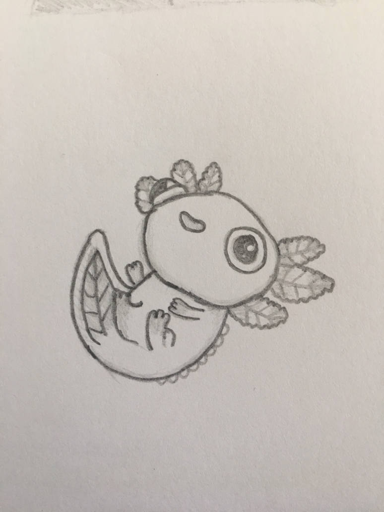 Baby Axolotl By Xlittledovex On Deviantart Baby Axolotl By Xlittledovex On Deviantart