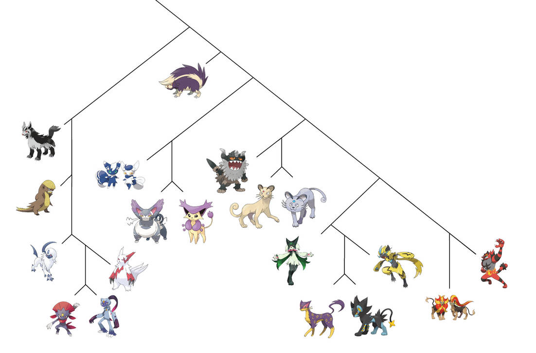 Feliform Tree Feliformia Pokemon Cladogram by elmsi on DeviantArt