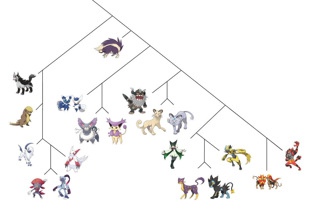 Feliform Split Feliformia Pokemon Cladogram by elmsi on DeviantArt