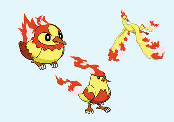 Starly and Staravia - Kantonian Moltres Prevo