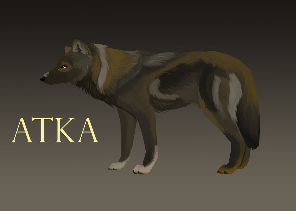 Api Atka Atka Reference by DotterelDog on DeviantArt