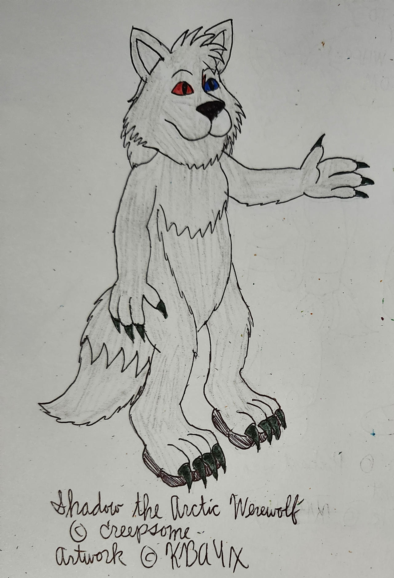 Shadow the Arctic Werewolf by KBAFourthtime on DeviantArt