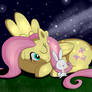 Fluttershy and angel at night