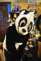 My fursuit.