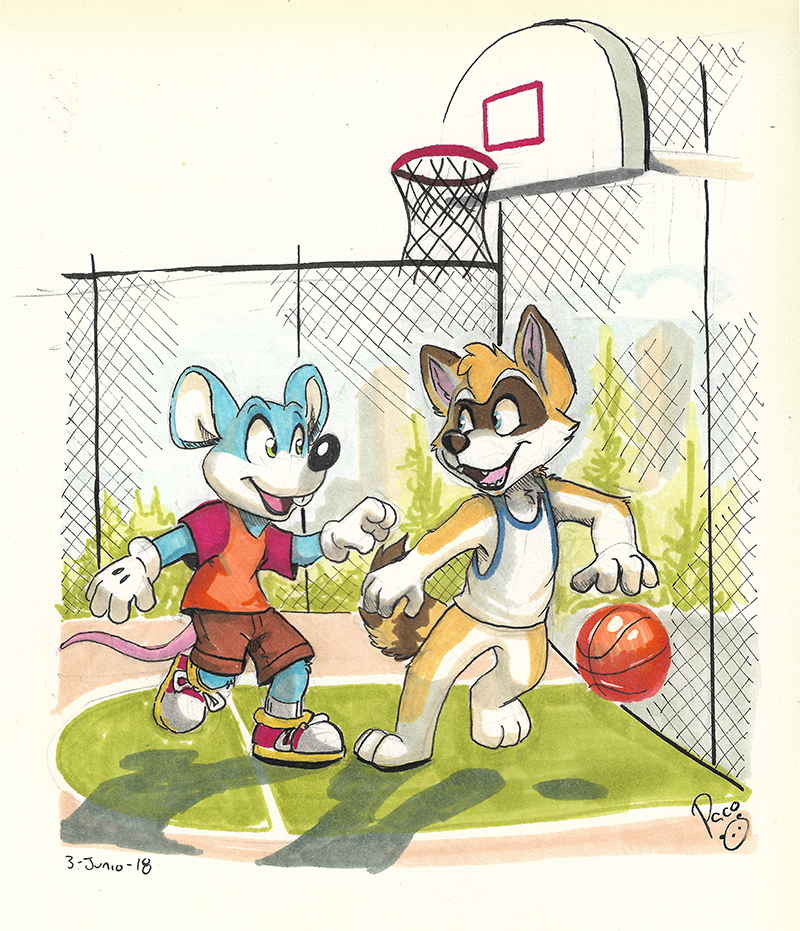 Street Basketball