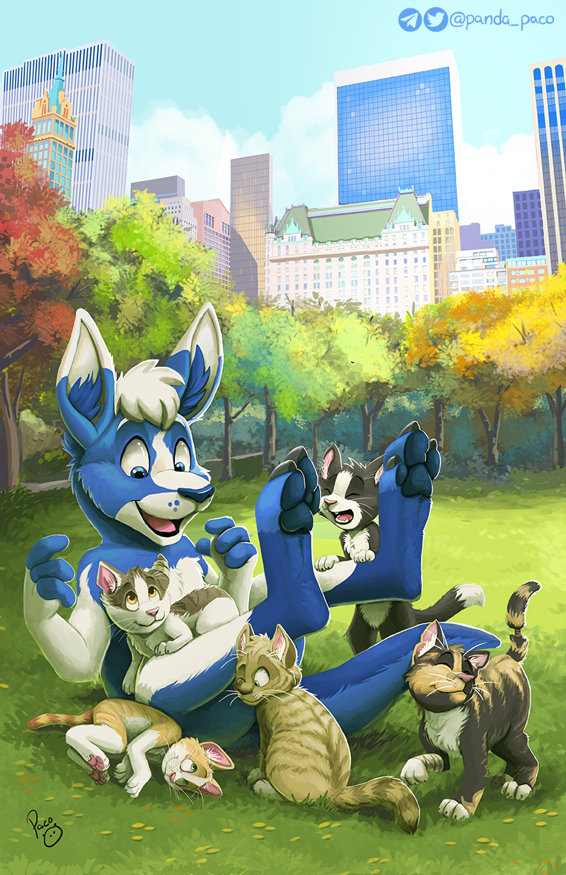 Pocari Roo Characters Pocari Roo Saves the Kitties by pandapaco on DeviantArt