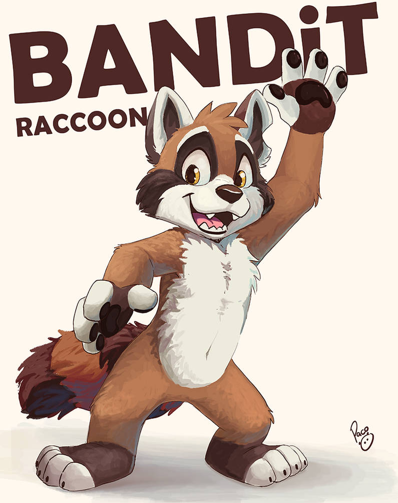 Bandit Raccoon by pandapaco on DeviantArt