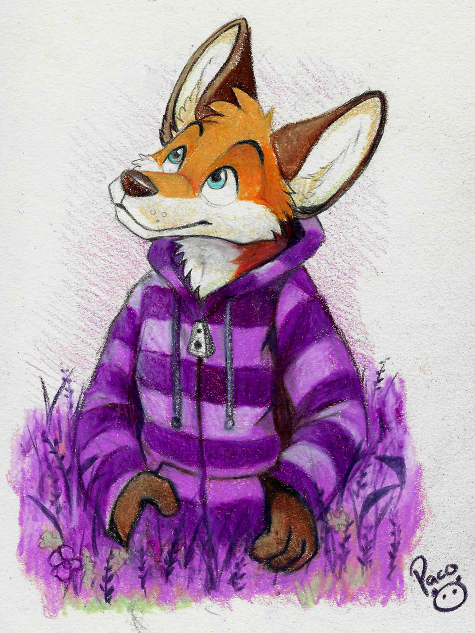 Deviantart Limber Fox Lavender Fox by pandapaco on DeviantArt