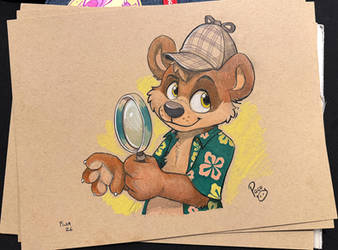 The Great Bear Detective