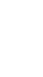 F2u delta rune base