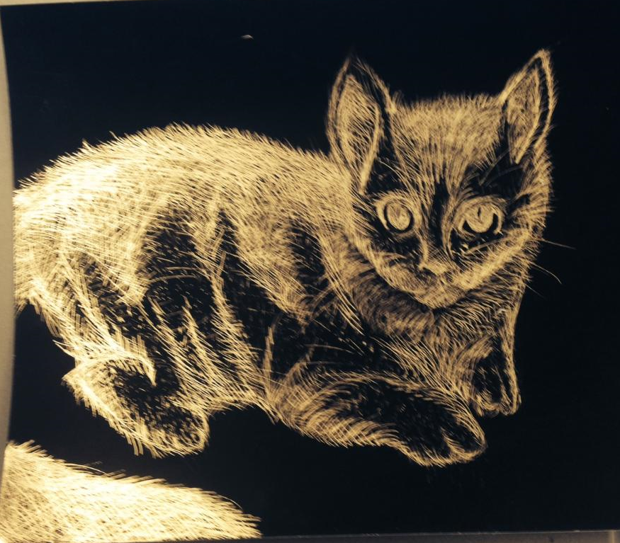 Kitty Scratch Board