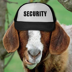 Security Goat