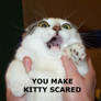 scared kitty