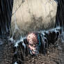 VON BACH - Comic cover