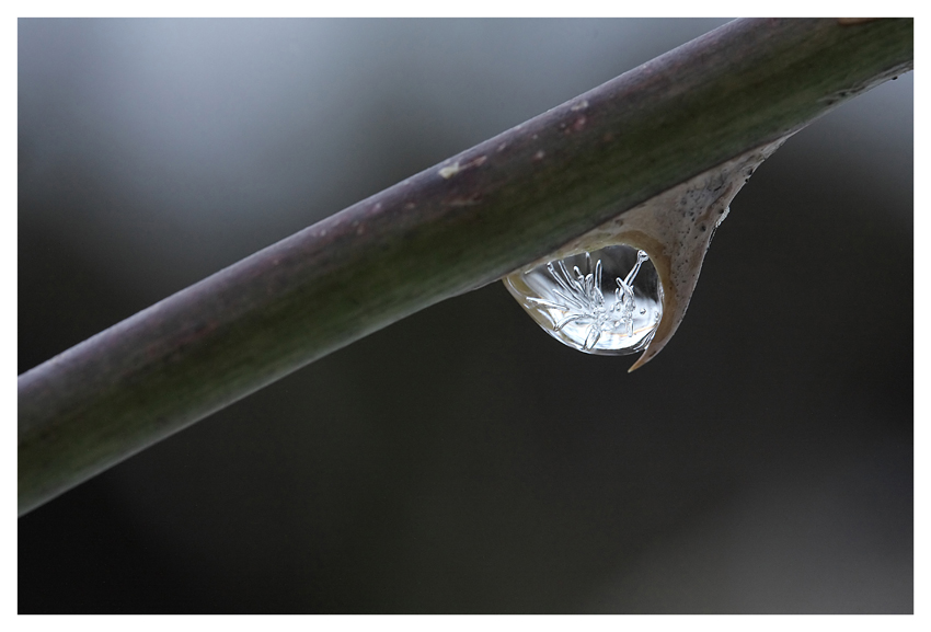 Ice drop