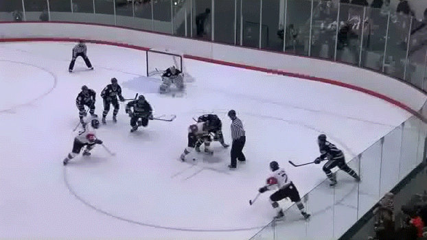 RIT vs Niagara 1/25/13 highlight 6