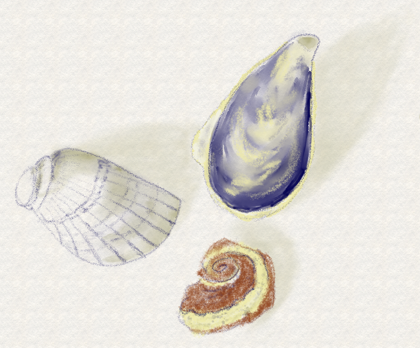 Shells