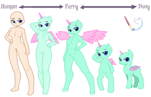 Pony to Human 3
