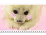 cute seal stamp