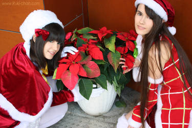 Christmas Flowers by RuKiMiKu