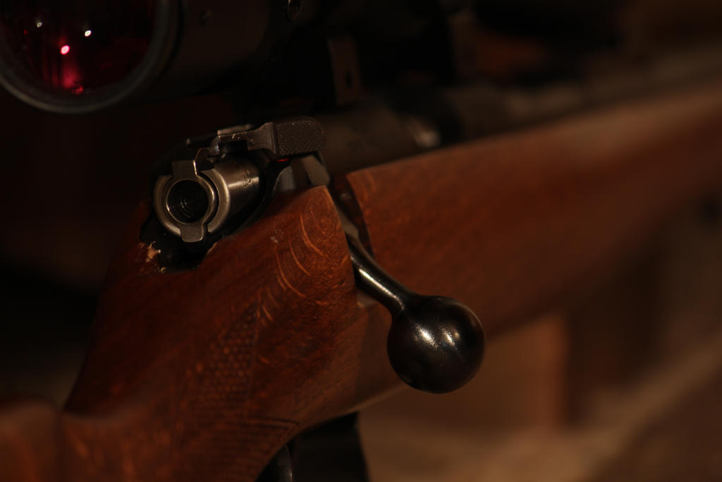 Rifle by BigCheekyBird on DeviantArt