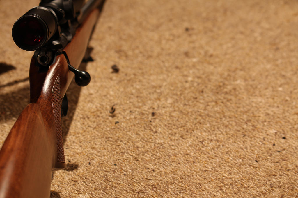 Rifle by BigCheekyBird on DeviantArt