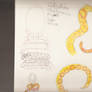 Snake coils study drawings