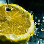 water lemon'