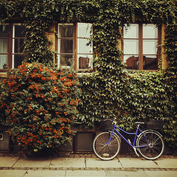 Copenhagen: Dronningensgade Street.