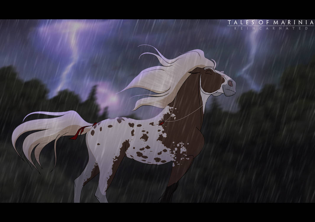 Reflect the Storm.. (Tales of Marinia) by ShadowAura-I on DeviantArt