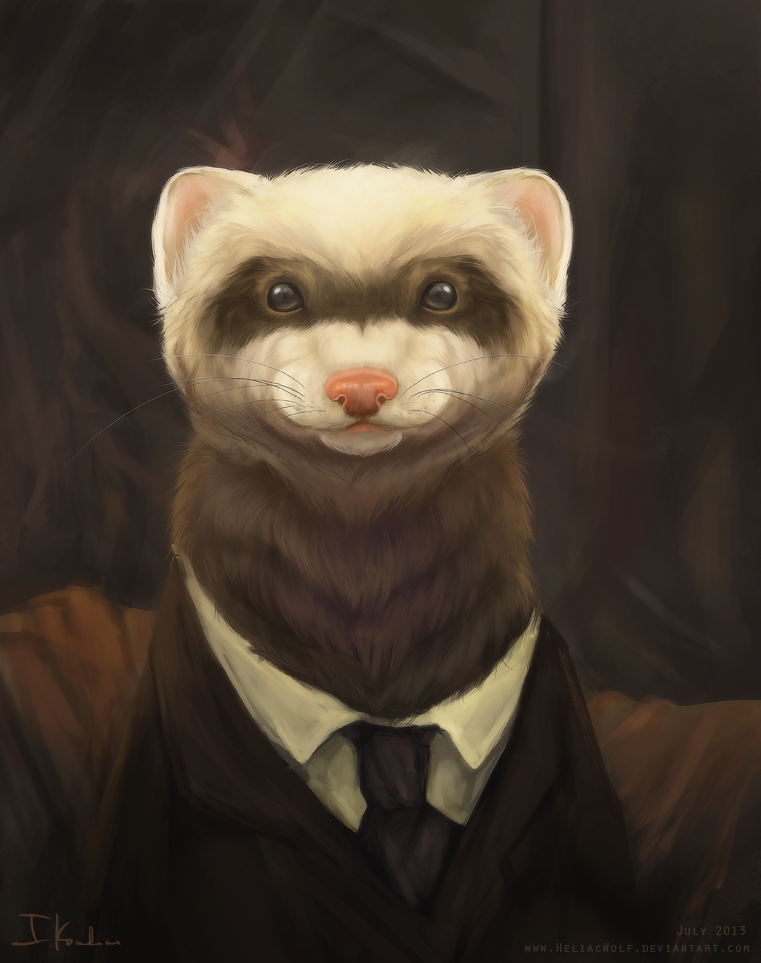 Fancy Ferret by HeliacWolf on DeviantArt