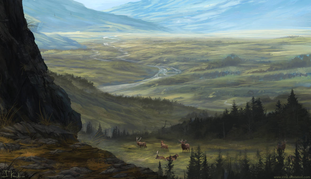Landscape