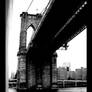 USA Series: Brooklyn Bridge