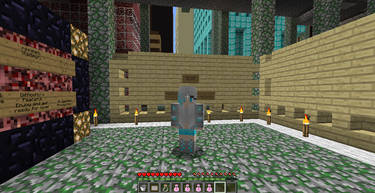 Minecraft Screenshot2